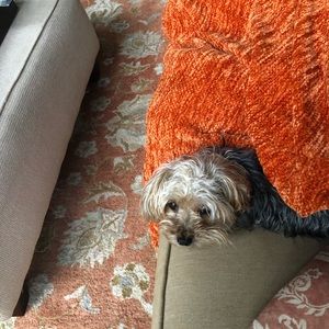 Meet your Posher, Denise